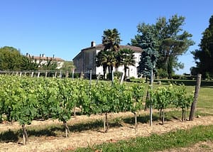 Château Amanieu d'Albret - Grands Vins de Bordeaux